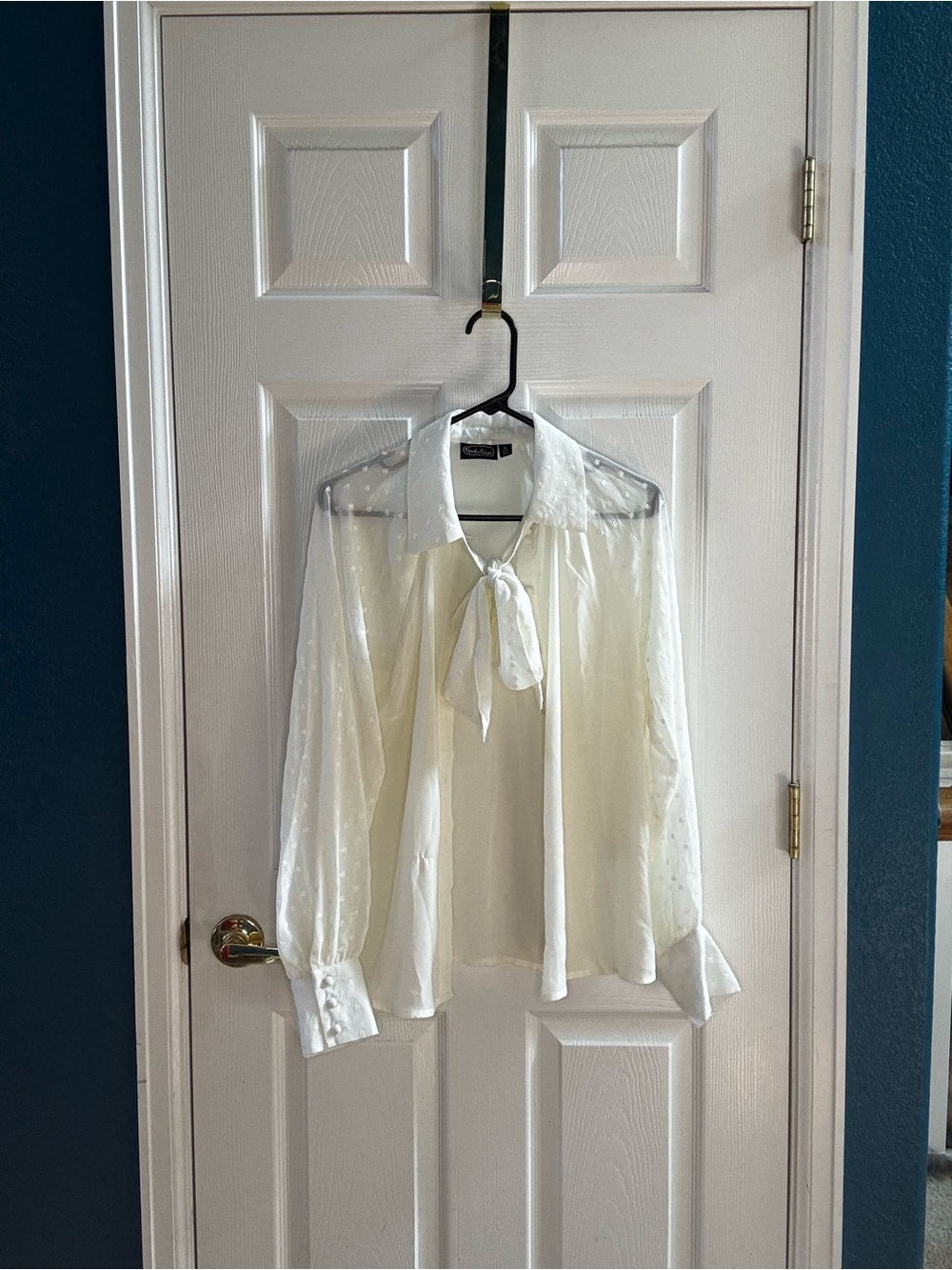 Voodoo Vixen Cream Tie-Neck Sheer Dot Blouse